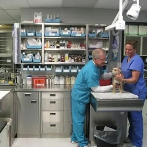 Treatment room at Animal Medical Center of Amarillo